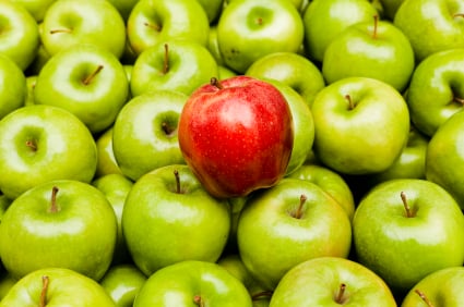 iStock_000018599488XSmall-1